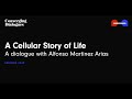 249 a cellular story of life a dialogue with alfonso martinez arias