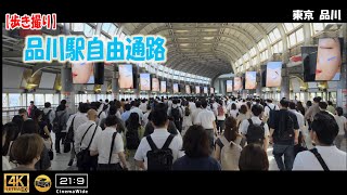 【歩き撮り】品川駅自由通路 ＠東京_品川 ４K  (21:9)  Tokyo walking video