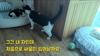 쩡남매의 267번째 이야기~적응 못하는 동생 도와주는 귀여운 정미 좀 보세요^^