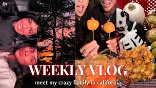 WEEKLY VLOG ♡ (when am I taking the NCLEX, cancel culture, bake w me, scary movie night, back HOME)