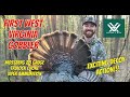 Alec Brown With Vortex Takes His First WV Gobbler | Gobblers Everywhere And We Are In Their Bedroom