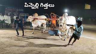 ధర్మవరం ఆరుపళ్ళు|| పిక్కిలి తేజస్వి మురళి గారు పిన్నెల్లి గ్రామం మాచవరం మండలం పల్నాటి జిల్లా గిత్తలు