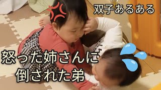 双子の日常：ケンカ勃発!!袋の取合い!!