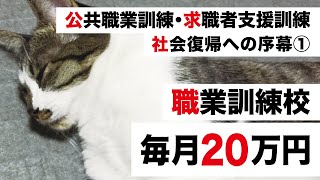 職業訓練 求職者支援訓練 公共職業訓練①【毎月20万円 社会復帰への序幕】緊急小口資金 特例貸付 併用可、住居確保給付金 併用不可・ハローワーク最新情報