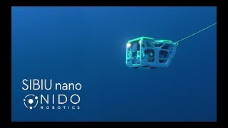 Sibiu Nano IndieGoGo Campaign Pitch