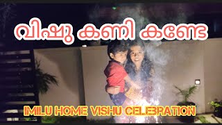 വിഷുവിന് കണി കണ്ടേ |vishu celebration |വിഷു കണി |പടക്കം പൊട്ടിച്ചു ആഘോഷിച്ചു |kerala festival vishu