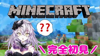 【Minecraft】雑談まったりマイクラ※告知含む※【＃新人Vtuber /骸リノア】