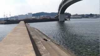 形原漁港　西堤防　形原漁港大橋　魚釣り　海釣り　愛知マップ