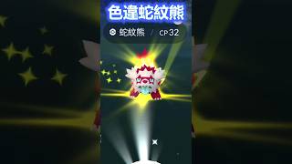 《Pokémon GO 寶可夢》色違蛇紋熊