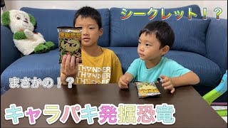 キャラパキ発掘恐竜で遊んだらまさかの！？シークレット！？