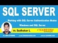 Working with SQL Server Authentication Modes Windows and SQL Server | MSSQL Training