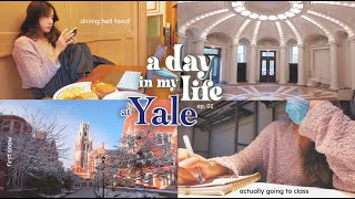 A day in the life at YALE University | good food, being productive, exploring campus