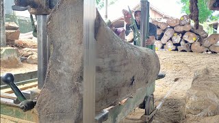 Sawmill.Kayu Jati Gepeng super kering,kayu Jati Perhutani Blora Teb A Teres Indonesian Teak sawing