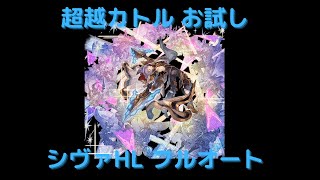 【グラブル】超越カトル お試し