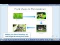 mozabook interactive teaching software animation tutorial video