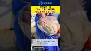 漁民捕到一條五、六十斤重的大石斑魚。The fishermen caught a large grouper weighing fifty or sixty pounds.