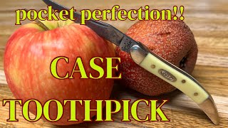 Case Small Toothpick