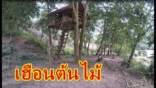 ลุยเดี่ยวลาว EP30:พาไปชมบ้านต้นไม้ เฮือนต้นไม้ คนลาวทำกันเอง