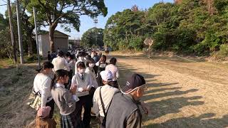 志佐くんち 淀姫神社 秋季例大祭 流鏑馬神事 長崎県松浦市志佐町 15:10ころ　20231026