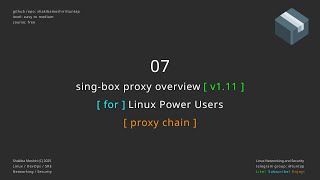 07 sing-box proxy overview - proxy chain
