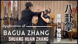 八卦掌應用 - 雙換掌 Application of BaGua Shuang Huan Zhang