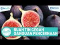 Cara Alami Cegah Gangguan Pencernaan, Ini Kandungan Buah Tin Bagus untuk Kesehatan Tubuh