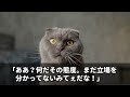 【スカッと】当たり屋ヤクザに追突され袋叩きに「示談金3000万な！娘も殴るぞ？w」俺「10分後、妻がお金持って来ます…」→妻が彼の組の幹部連中と共に現れ…妻「あの2人、お前らの新入りか？」【感動】