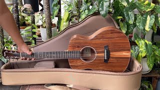 Unboxing Taylor GS Mini E Koa