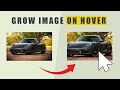 Image Grow on Hover using HTML and CSS