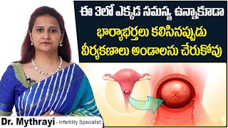 ఈ సమస్య వల్ల కణాలు చేరవు || Top 3 Causes of Female Infertility || Mythri Sri Fertility Centre