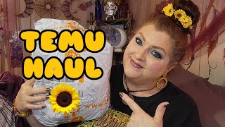 TEMU HAUL | NEW AND UNUSUAL ITEMS | September 14, 2023