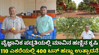 ವೈಜ್ಞಾನಿಕ ಪದ್ಧತಿಯಲ್ಲಿ ಮಾವಿನ ಕೃಷಿ | 110 ಎಕರೆಯಲ್ಲಿ 400 ಟನ್ ಹಣ್ಣು ಉತ್ಪಾದನೆ | mango farming in kannada