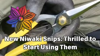 New Niwaki Snips: Thrilled to Start Using Them