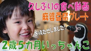 いっちゃんこ　２歳５カ月　久しぶり食べ動画　麻婆豆腐プレート