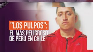 "Los Pulpos": El más peligroso de Perú en Chile #ReportajesT13