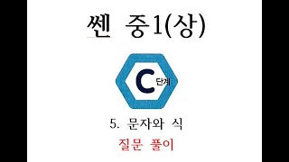 쎈 중1(상) 5. 문자와 식 C단계 풀이