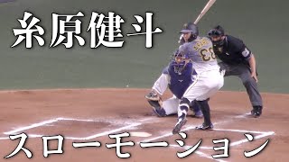 阪神タイガース糸原健斗　右打者のスロー映像【2021年 プロ野球】