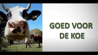 #8 Bioboer Vlog Weidegang \u0026 Kruidenrijk Grasland