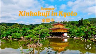 Kinkakuji - World Cultural Heritage UNESCO of Kyoto | #japantravel  2024