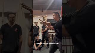 Mastering Wing Chun: Exploring the Effective Horizontal Palm Technique - Master Tu Tengyao