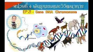 EP.22-ยีนกับการควบคุมลักษณะทางพันธุกรรม