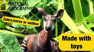 TOY VERSION OF |National Geographics video on Okapis!!