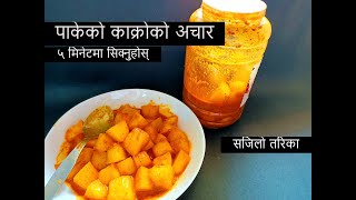 पाकेको काक्रोको खल्पी/अचार || Kakro ko Khalpi || ५ मिनेटमा सिक्नुहोस् || Nepali Style ||