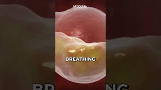 How Exactly Does Smoking Affect the Body.