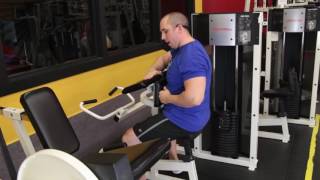 Biceps Curl - Life Fitness