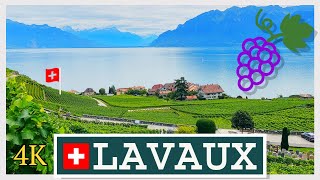 Lavaux Vineyards VD (Switzerland) 4K