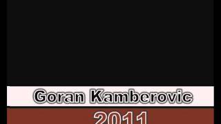 Goran kamberovic 2011 Nasvalo romani