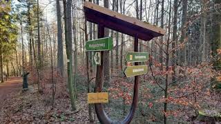 Fototour auf dem Waldgeisterweg im Greifensteinwald bei Geyer im Erzgebirge