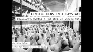 [Christina Rufener] Finding hens in a haystack - individual mobility patterns in laying hens