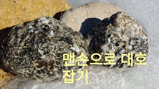 새로운탐석지#백호피석설산.대호.만년동안기기다려줘서.고맙다호피야.호피석천국10분5초입니다